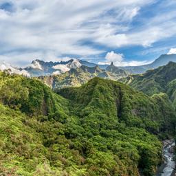 indischer-ozean-la-reunion-nationalpark-g-1625375652.jpeg