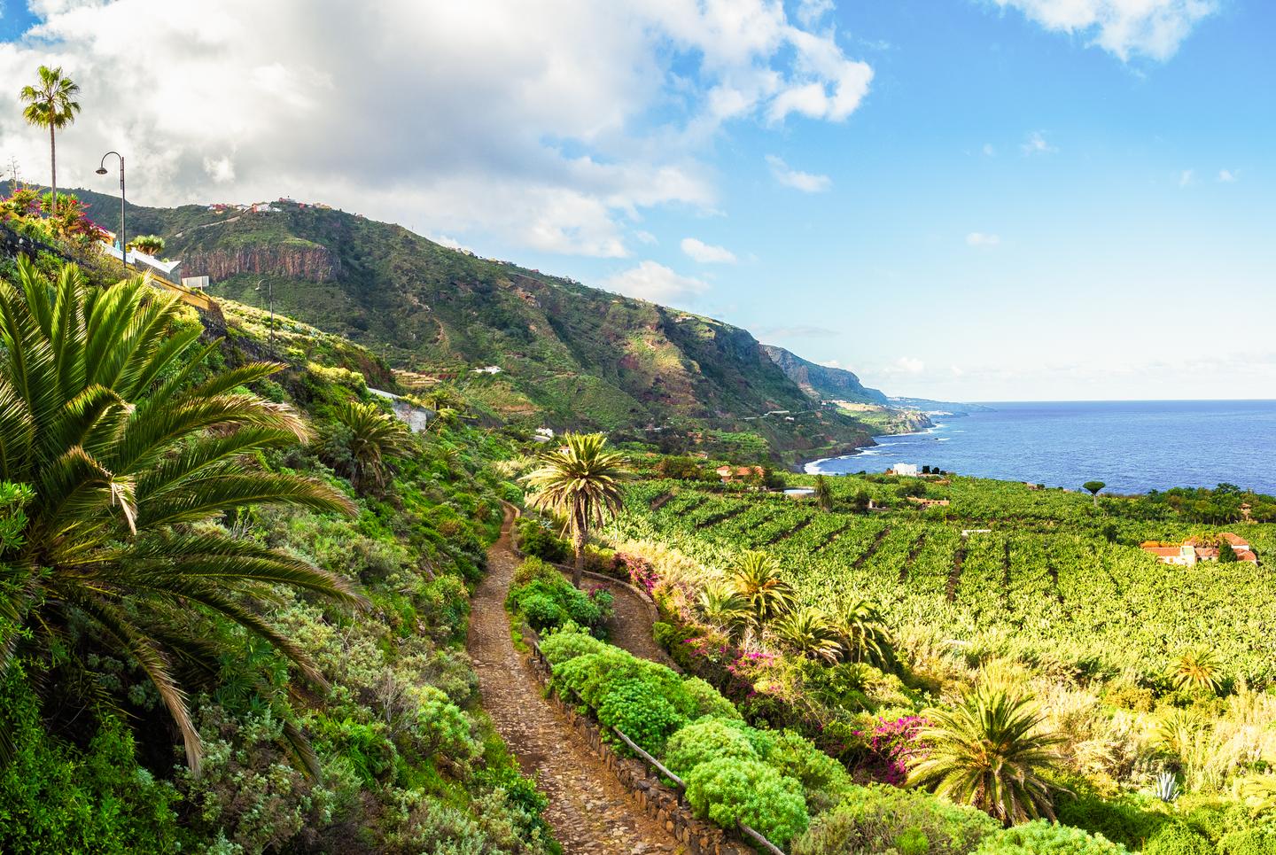 blt6e62e45da9323783-Spanien-kanaren-teneriffa-wanderweg-kueste-g-1096923086.jpg Spanien-kanaren-teneriffa-g-1096923086.jpg