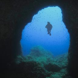 mallorca-tauchen-unterwasserhoehle-g-896470030.jpg