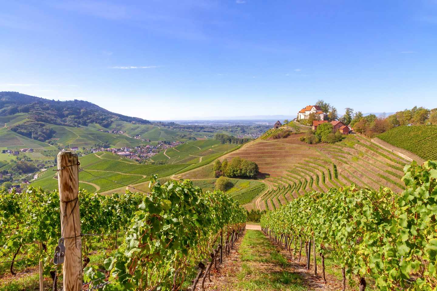 deutschland-schwarzwald-blick-auf-schloss-staufenberg-durbach-g-1055505364.jpg