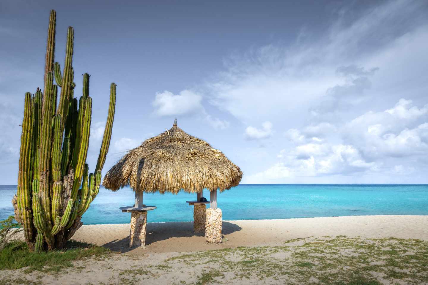 karibik-aruba-strand-mit-kaktus-und-palapa-g-1419723449.jpg