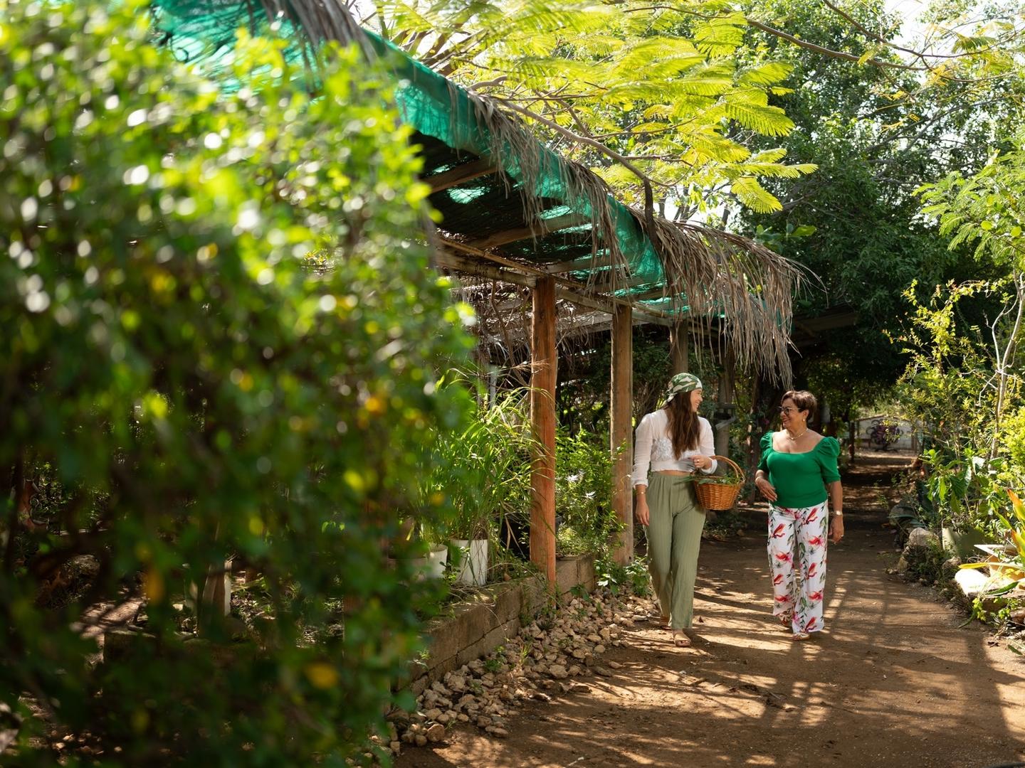 Zwei Frauen im Paradera - dem botanischen Kräutergarten