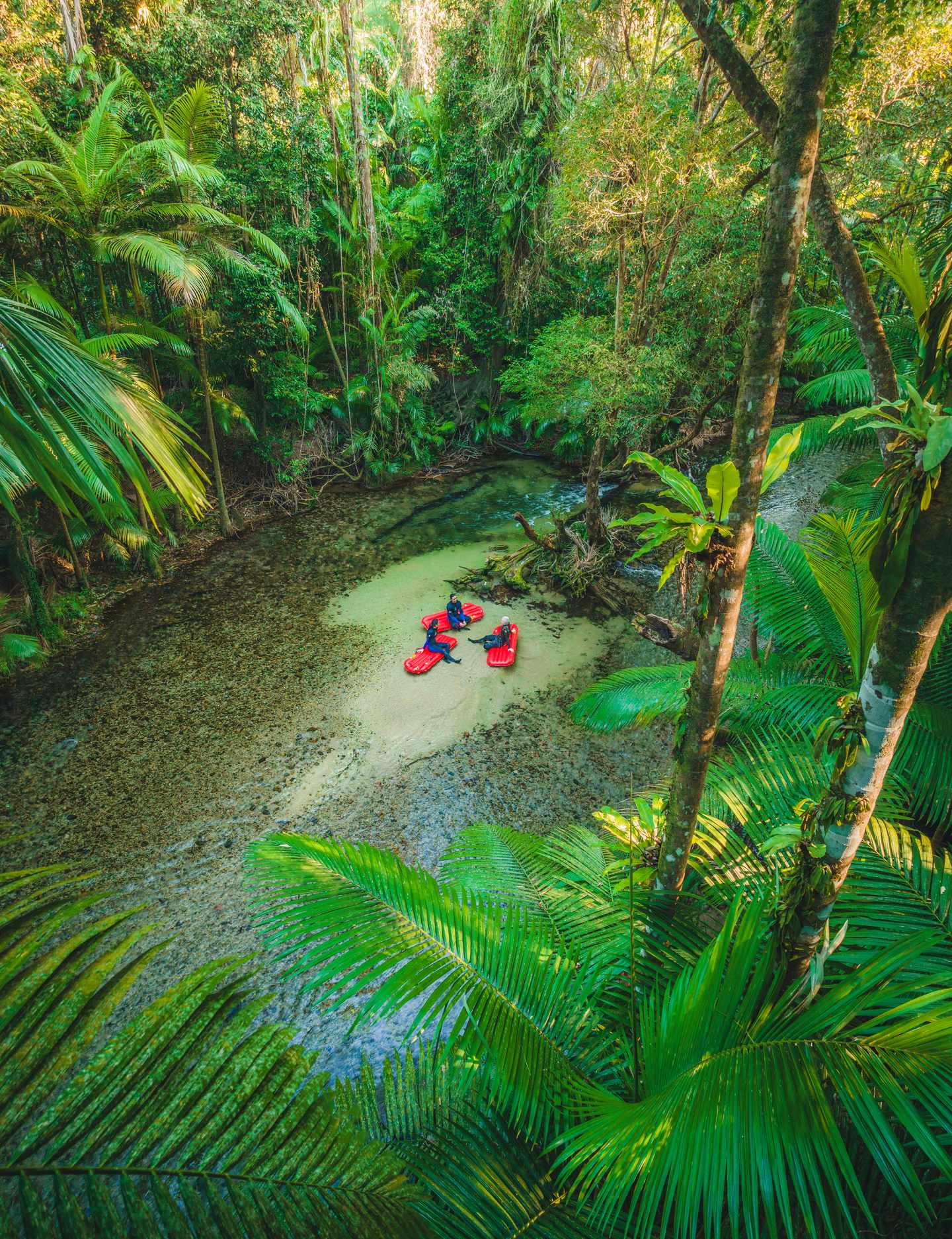 blt8f0866ee6895c947-australien-tropical-north-queensland-p-Back_Country_Bliss_DaintreeRainforest.jpg GBR