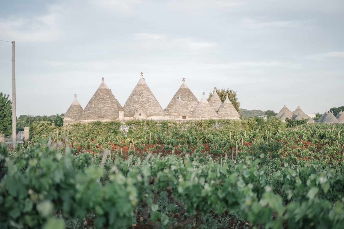 italien-apulien-itria-trulli-haeuser-g-1336974948.jpg