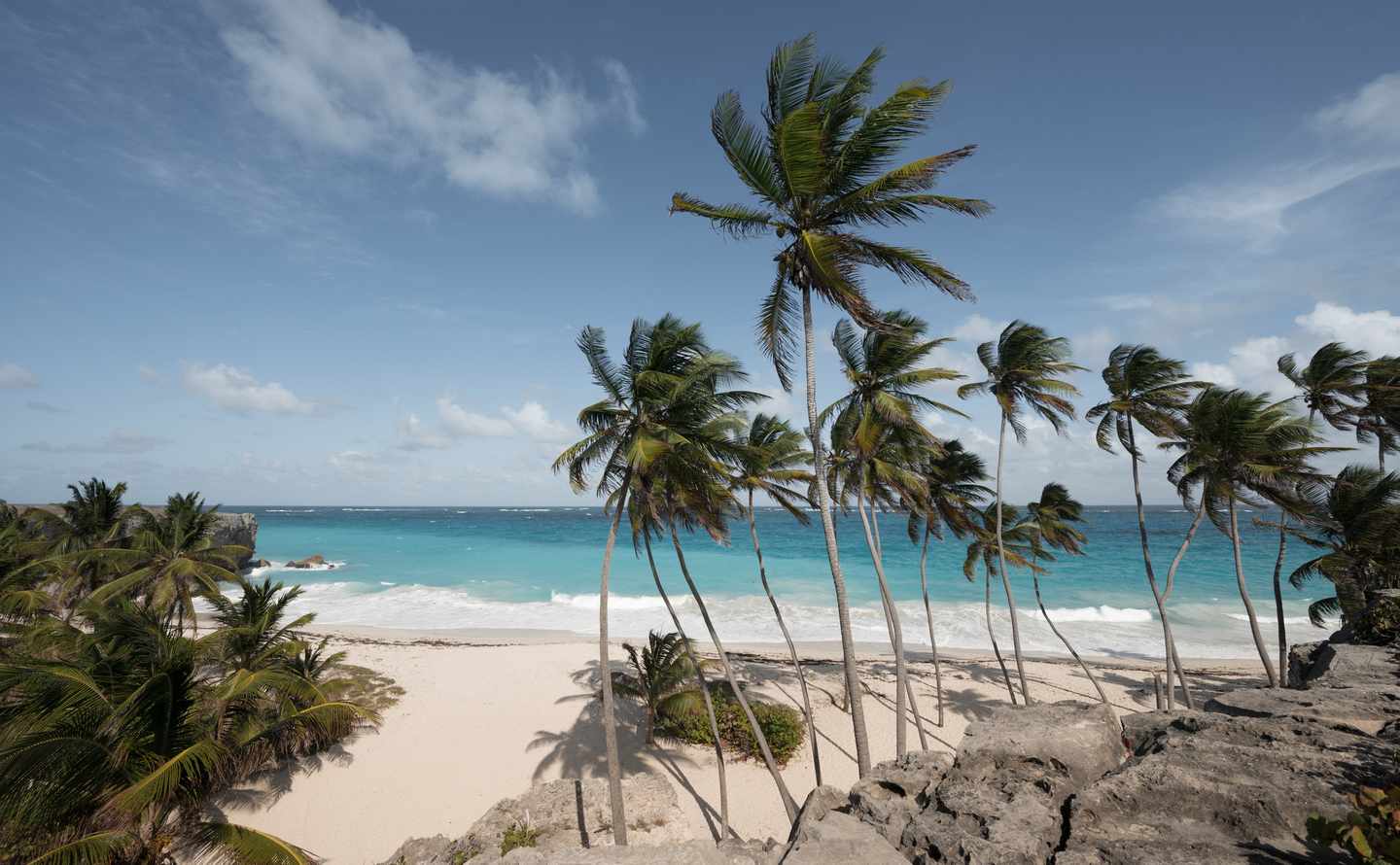 Barbados-Bottom-Bay-Palmen-am-Strand-g-649540698_bearbeitet.jpg