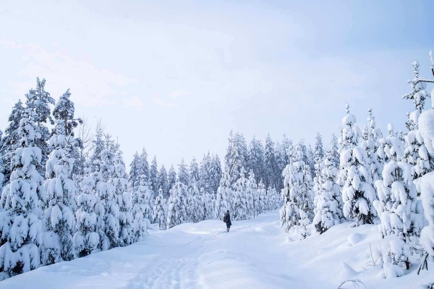 Finnland-Winterwunderland-Wandertag-g-1346487978.jpg
