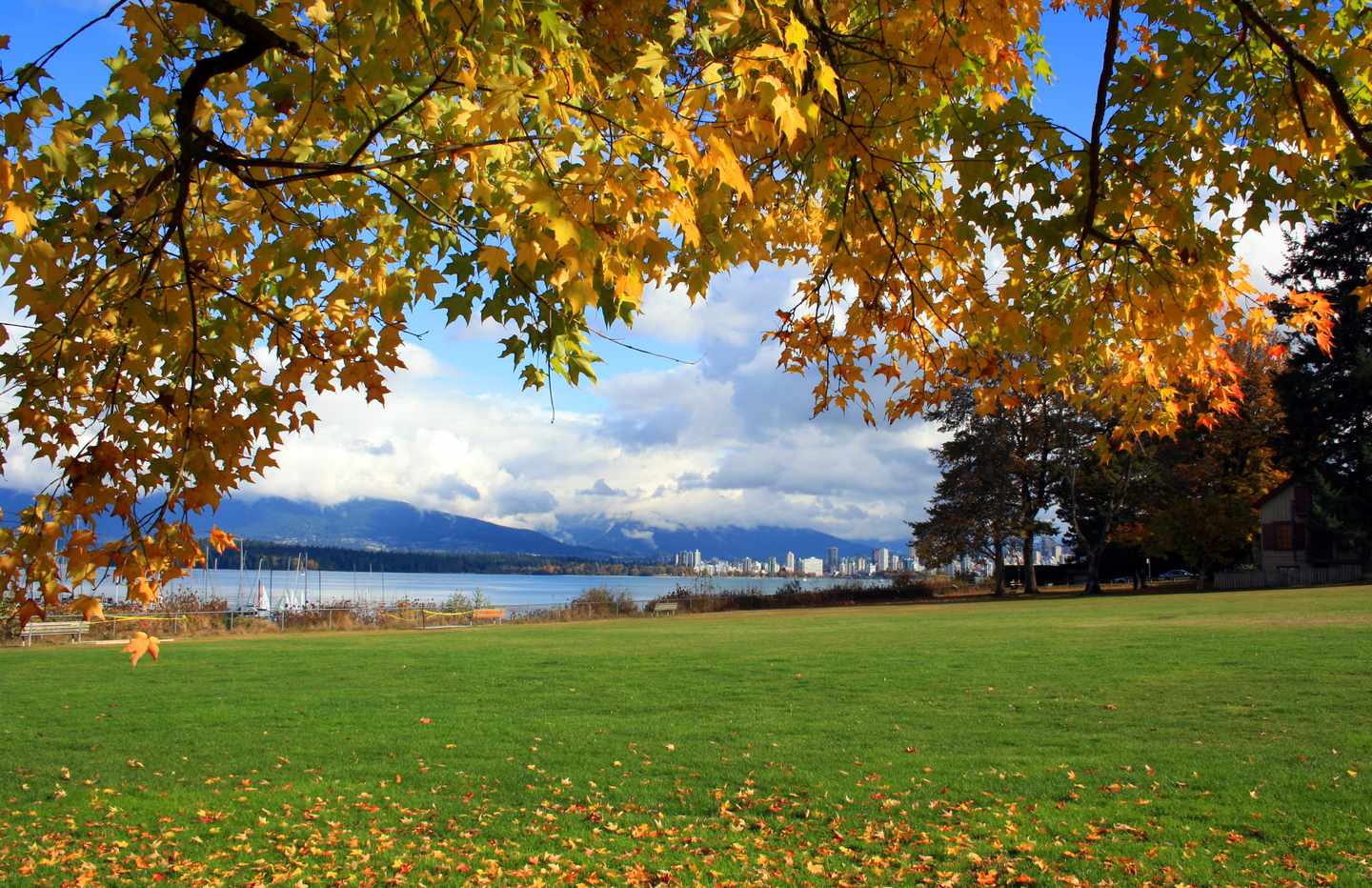 kanada-vancouver-herbst-g-1443170527.jpg
