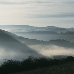 deutschland-rheinland-pfalz-eifel-huegel-nebel-g-1466969061.jpg