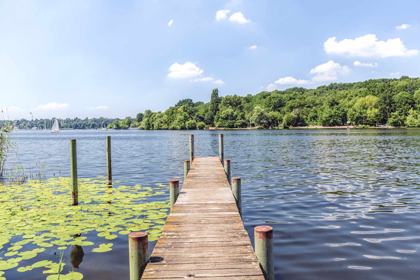 deutschland-brandenburg-wannsee-berlin-g-542320954.jpeg