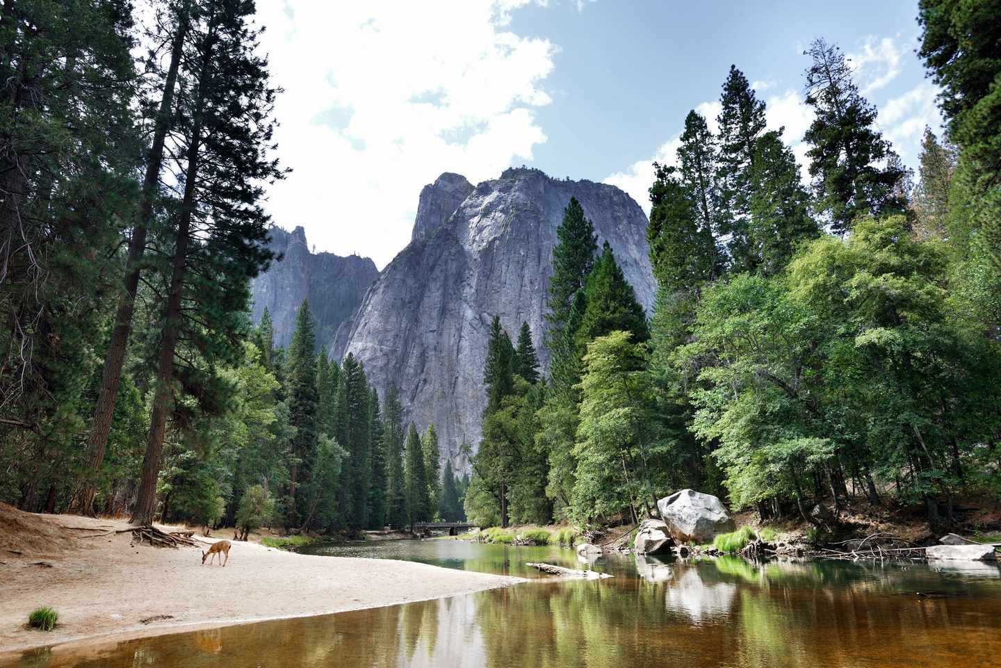 blte5bf1c57b0356e8e-USA-kalifornien-yosemite-national-park-g-509307146.jpg Yosemite Nationalpark