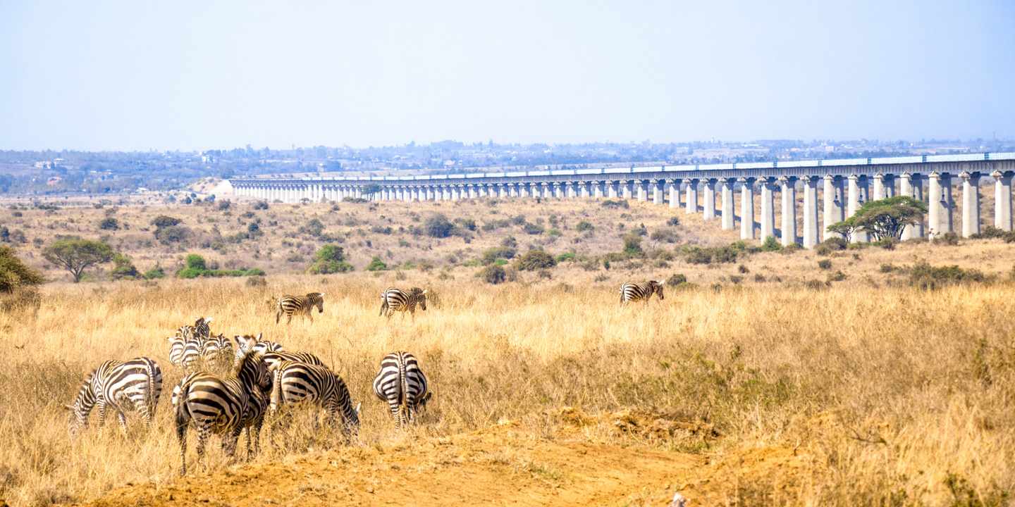 kenia-tsavo-nationalpark-tiere-madaraka-express-bruecke-g-1440241677.jpg