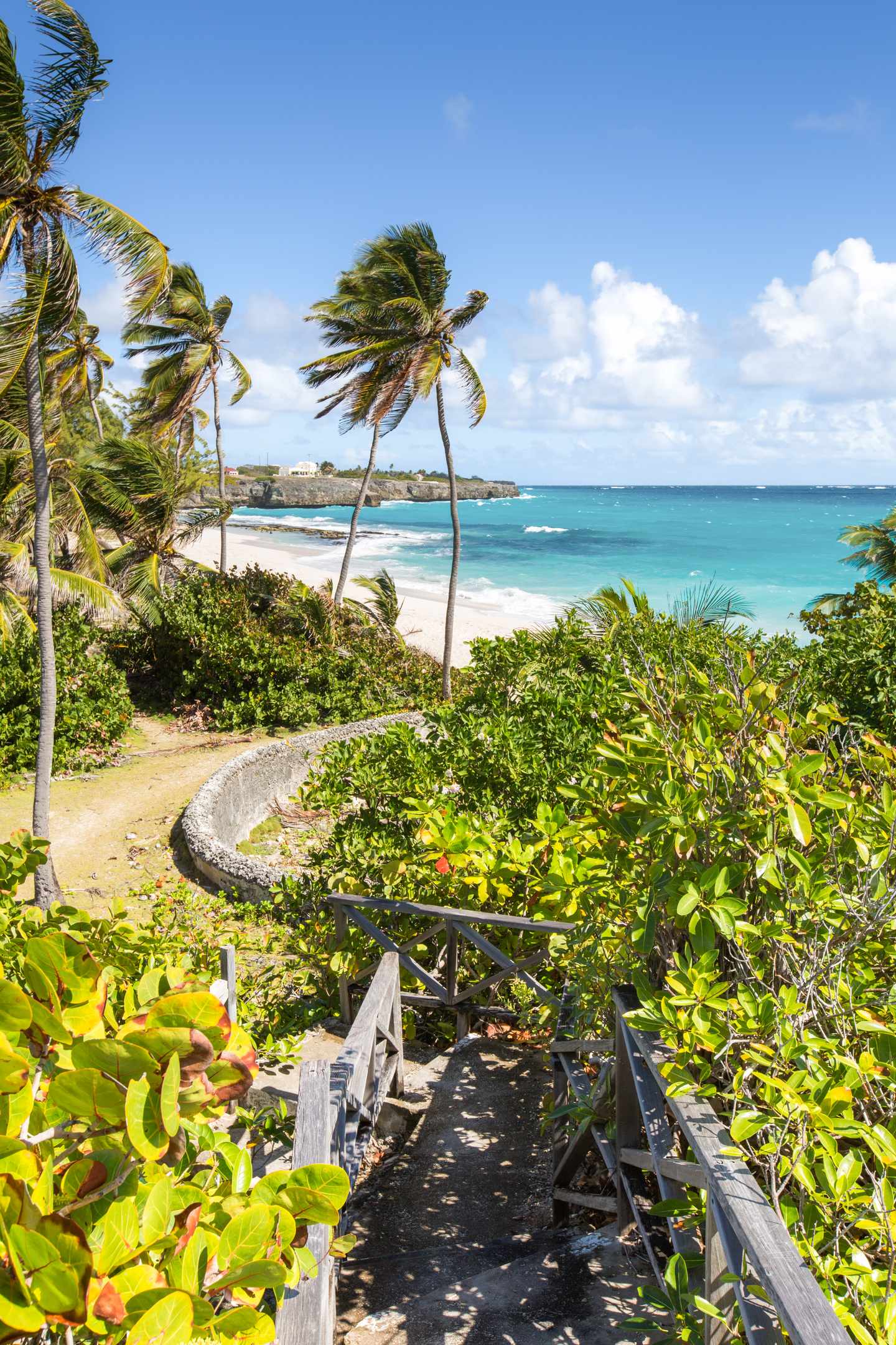 barbados-blick-auf-sandstrand-g-910418170.jpg Barbados Urlaub: Blick auf einen wunderschönen Strand auf Barbados