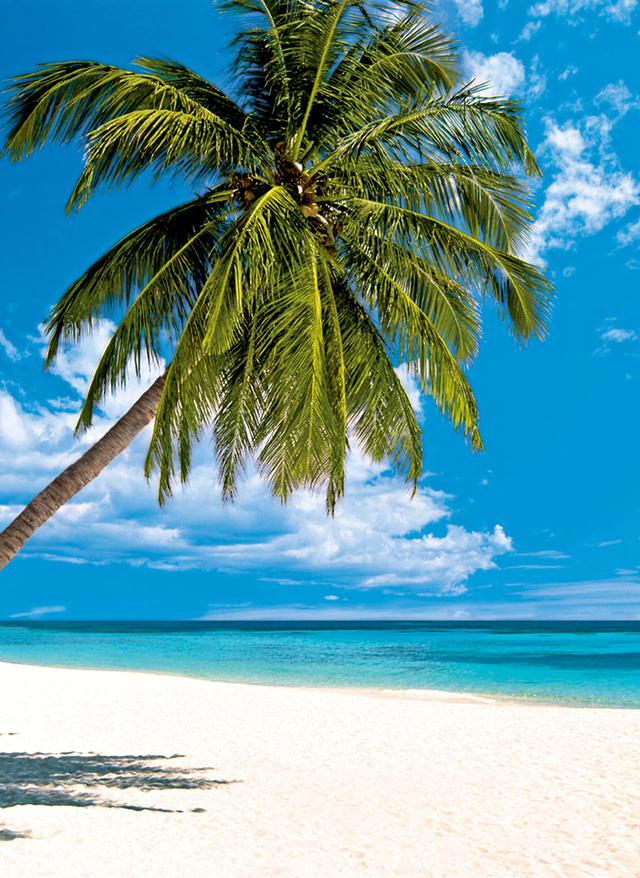 Strand in der Dominikanischen Republik