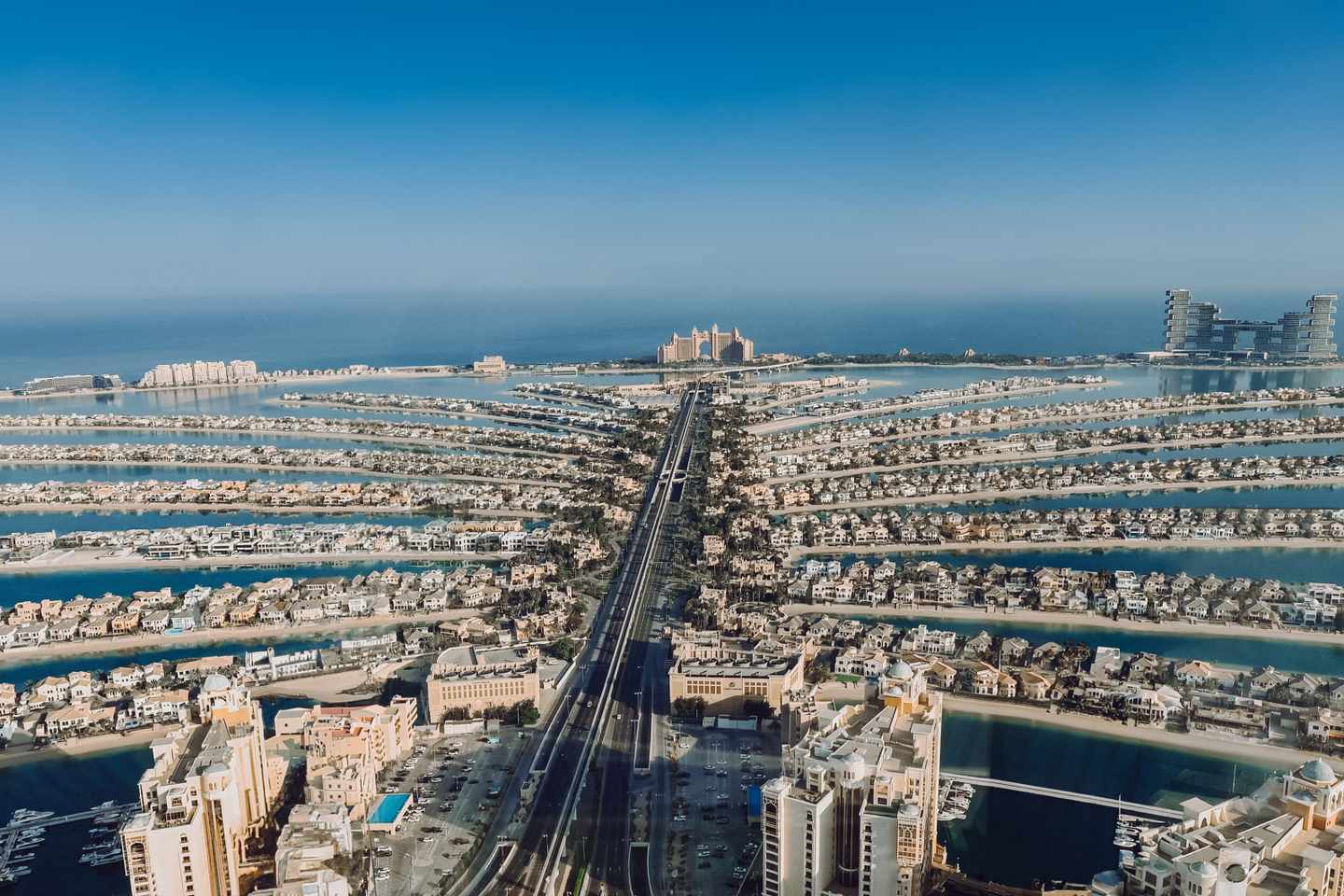 10_Palm_1.jpg