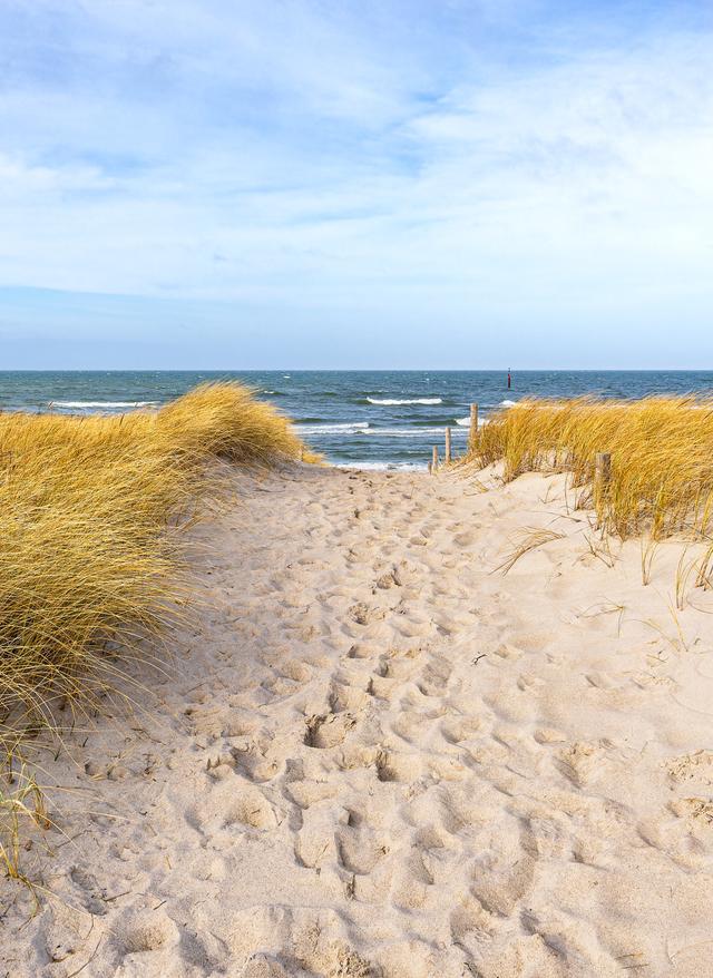 deutschland-ostsee-strand-in-graal-mueritz-g-1706194797.jpg