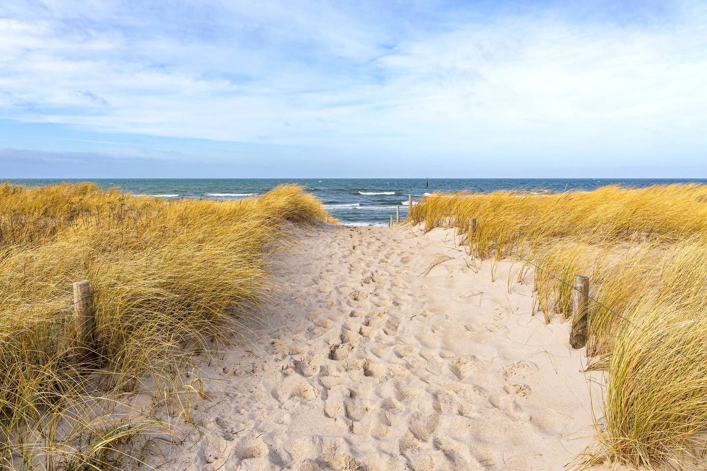 deutschland-ostsee-strand-in-graal-mueritz-g-1706194797.jpg