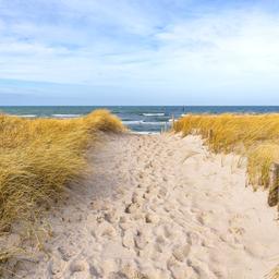 deutschland-ostsee-strand-in-graal-mueritz-g-1706194797.jpg