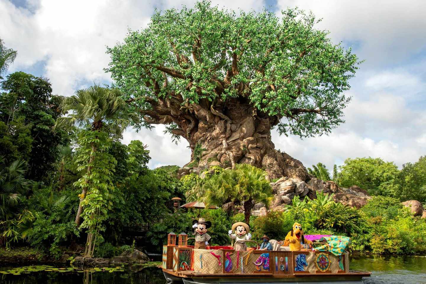 disney-world-resort-animal-kingdom-baum.jpg