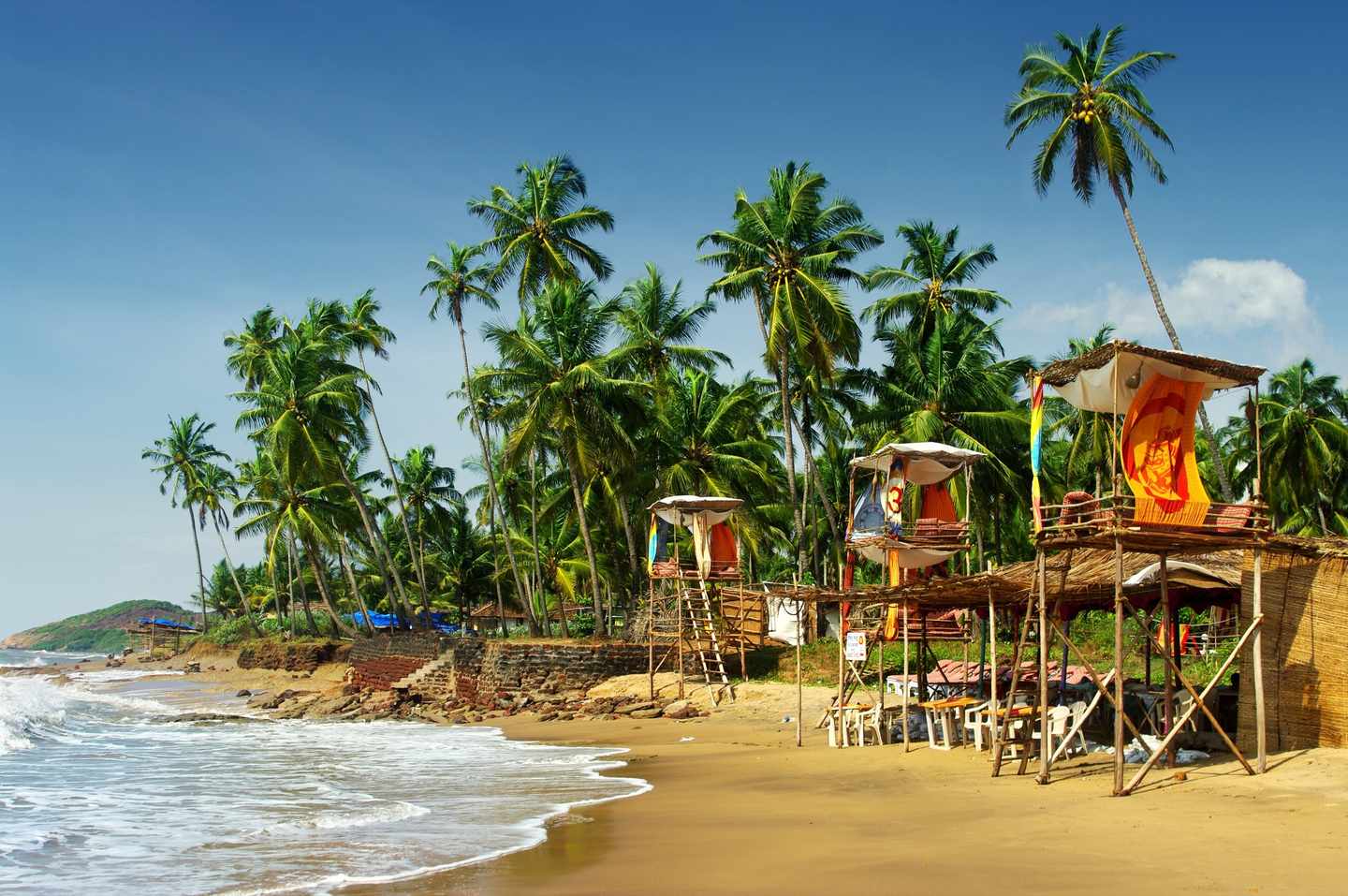 indien-goa-strand-palmen-t-181691319.jpg