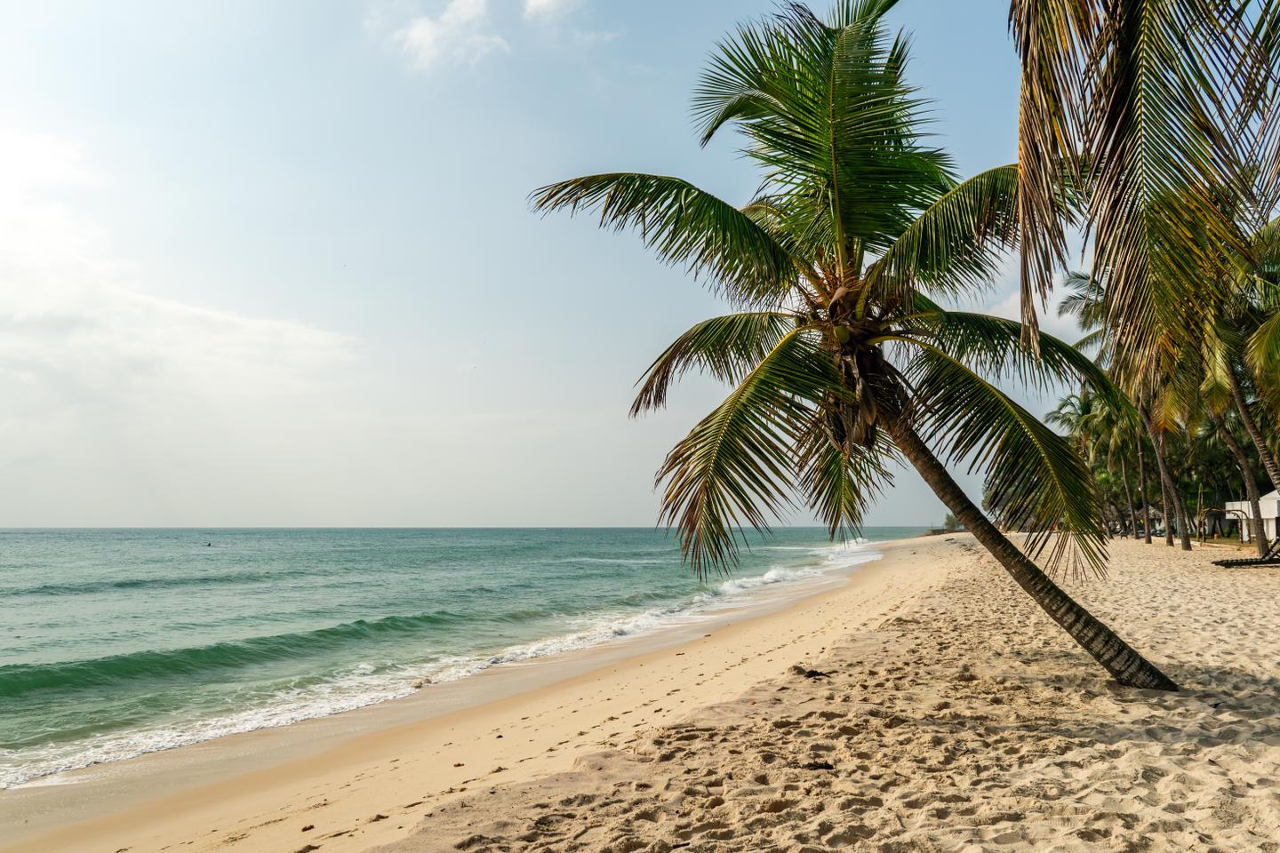 kenia-palme-diani-beach-g-2175765569.jpg