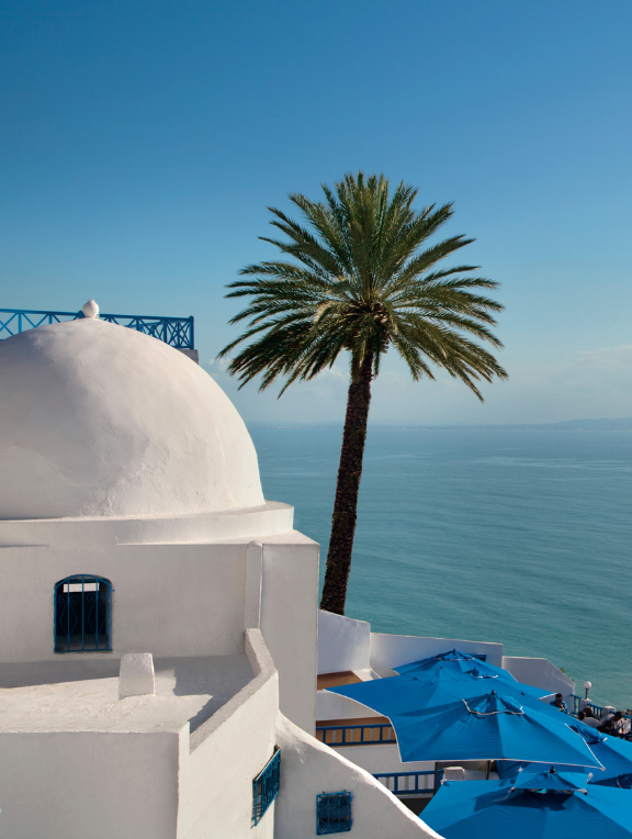 Tunesien: Sidi Bou Said Dorf: Weißes Gebäude und Meer im Hintergrund