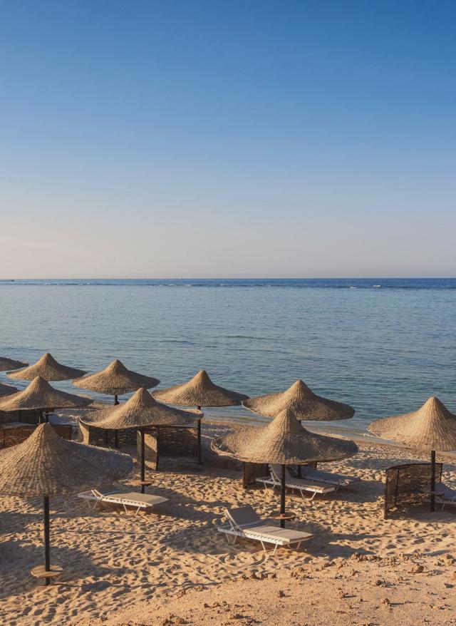 Angebote Ägypten Ägypten Rotes Meer Strand mit Sonnenliegen