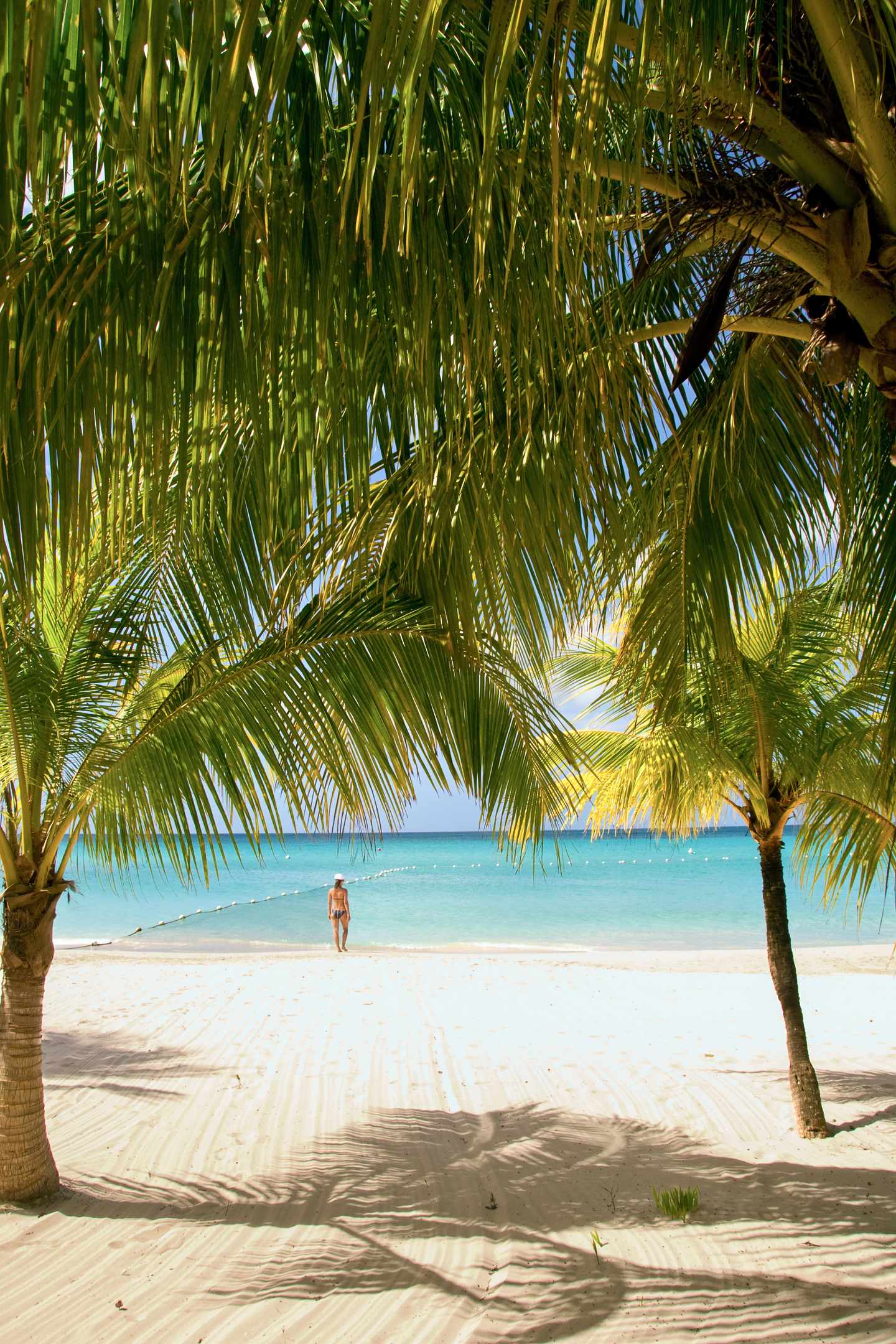 jamaika-strand-mit-palmen-g-91461622.jpg Jamaika Urlaub: Strand und Palmen