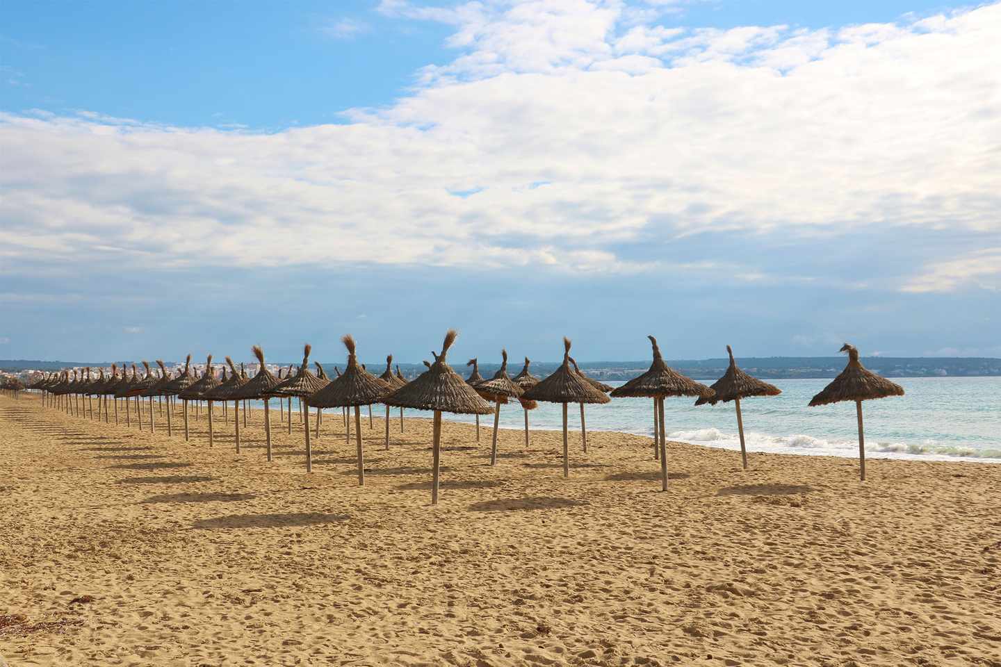 spanien-mallorca-palma-de-mallorca-strand-mit-sonnenschirmen-vor-meer-g-1161899212.jpg