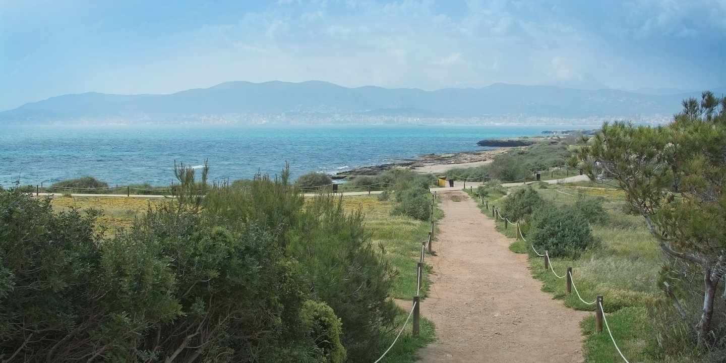 spanien-mallorca-es-carnatge-blick-auf-palma-g-949380376.jpg