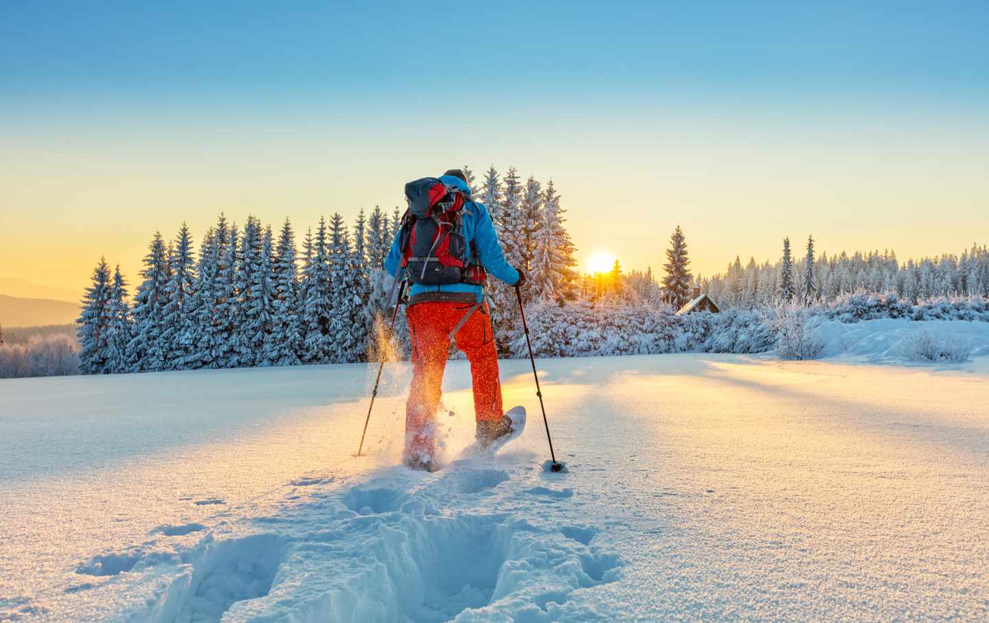 Schneeschuhwandern-t-643018240.jpg
