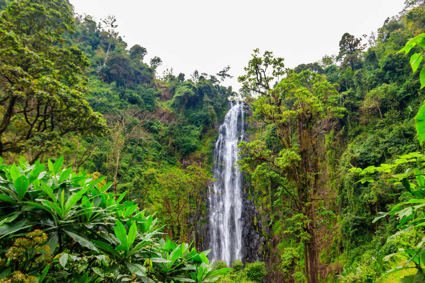 tansania-materuni-wasserfall-kilimandscharo-g-1357744890.jpg