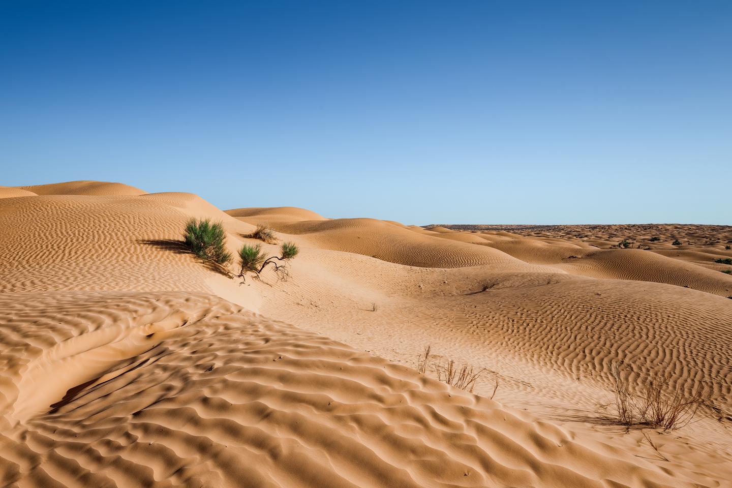 tunesien-wueste-sahara-wuestentour-g-1407709082.jpg