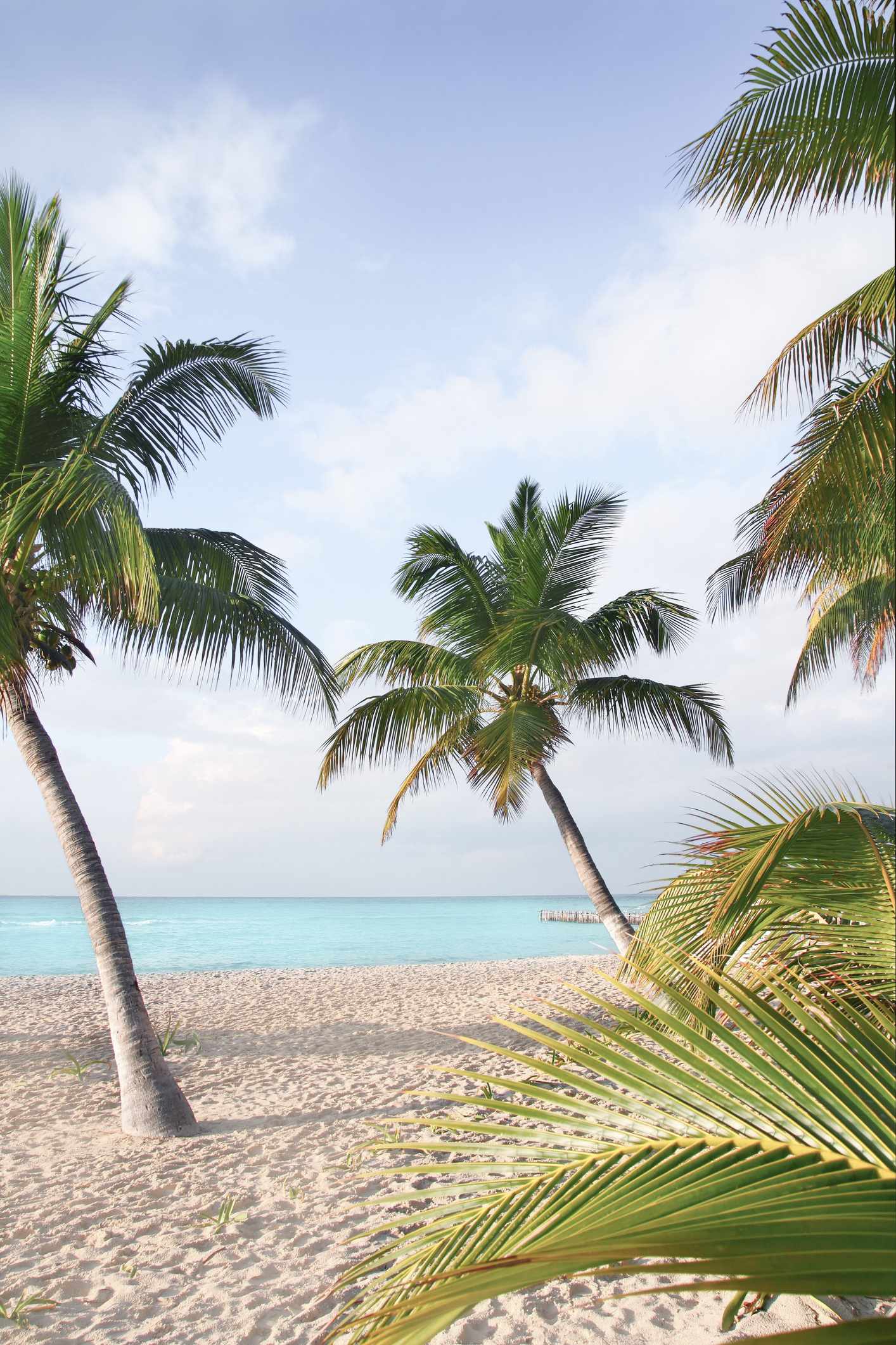 blt4d7b52462ebe2ed3-mexiko-isla-mujeres-sandstramd-g-505620762.jpg Strand auf der Isla Mujeres in Mexiko