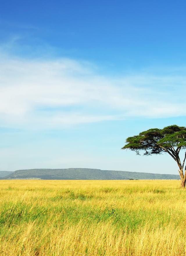 Serengeti Nationalpark