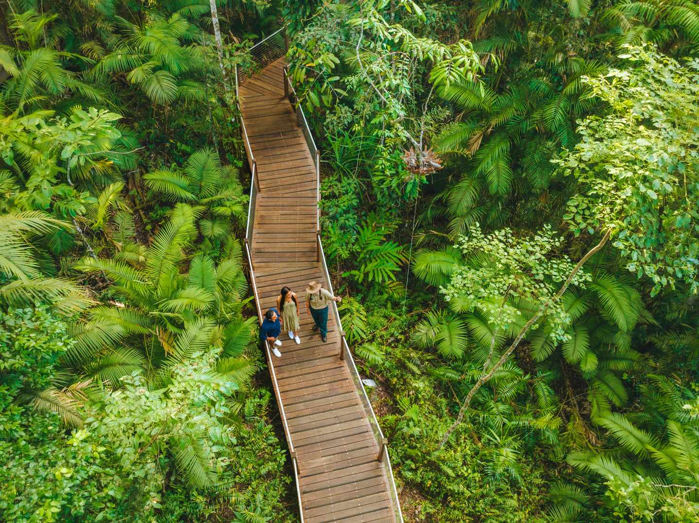 blt9c7a0c9de88d3509-151799-2022_TNQ_Cairns_SkyrailRainfores.jpg GBR