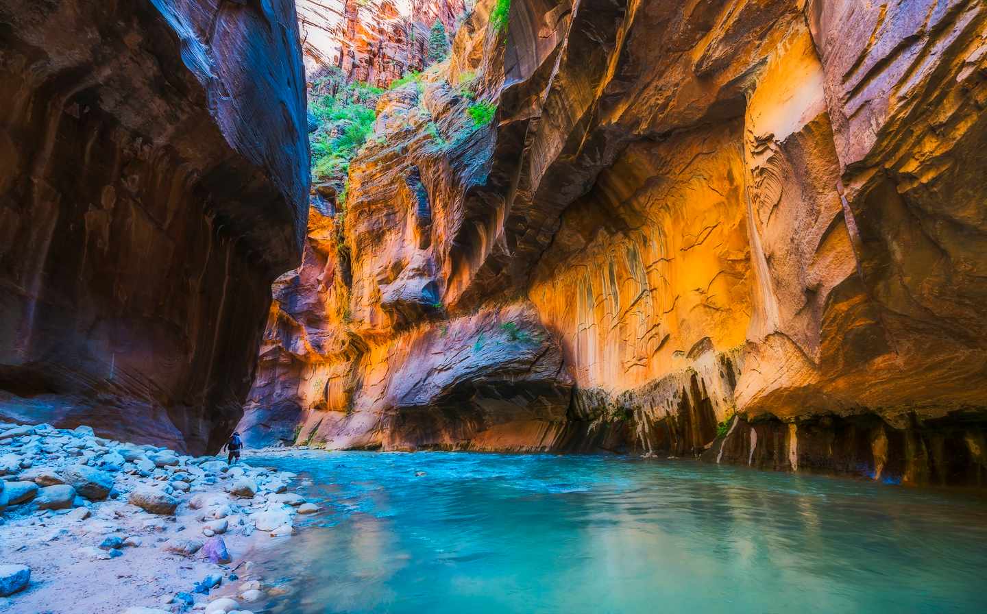 usa-zion-nationalpark-fluss-g-541139636.jpg