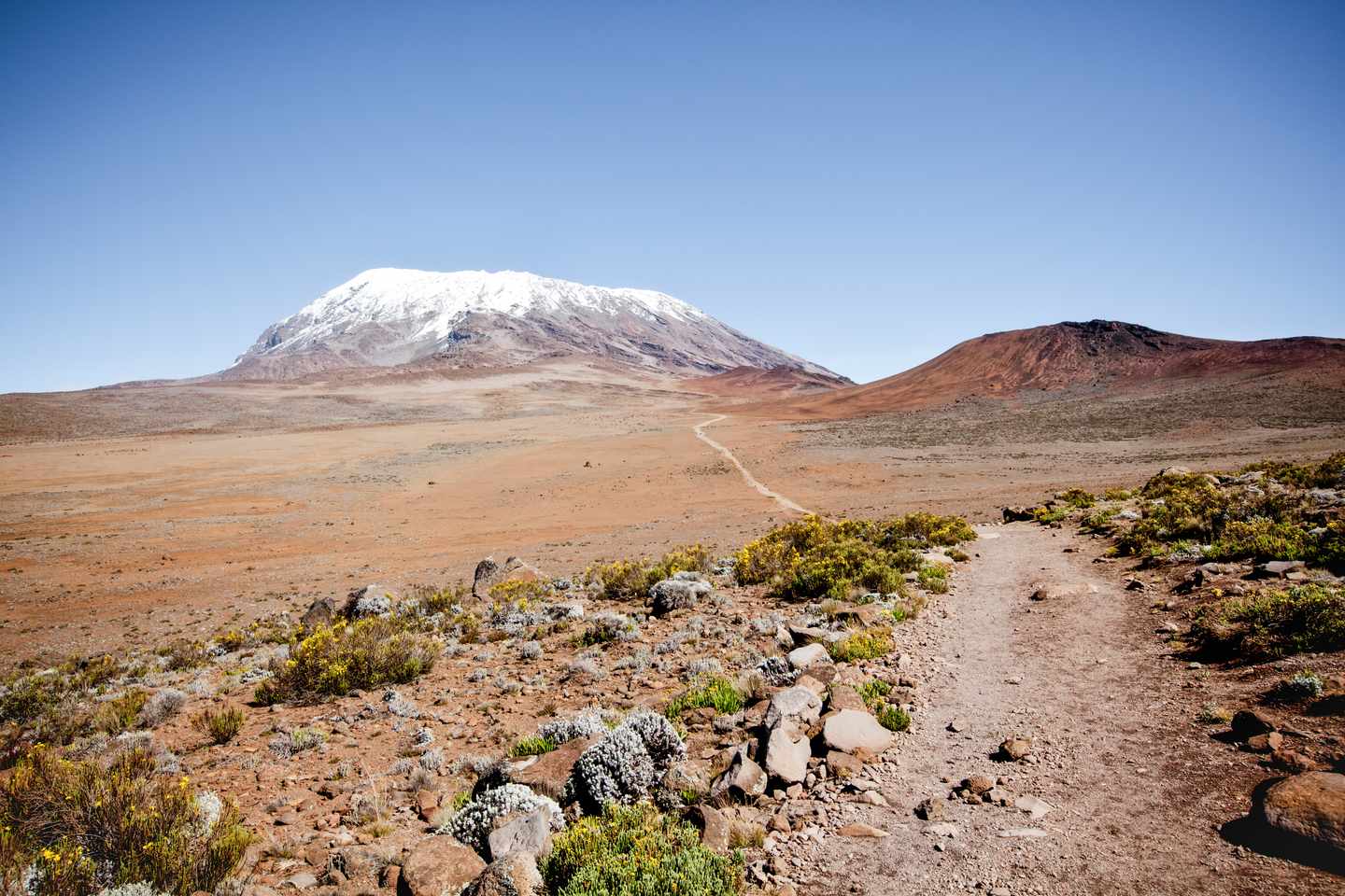afrika-tansania-kilimandscharo-wandern-bergsteigen-g-183296579.jpg