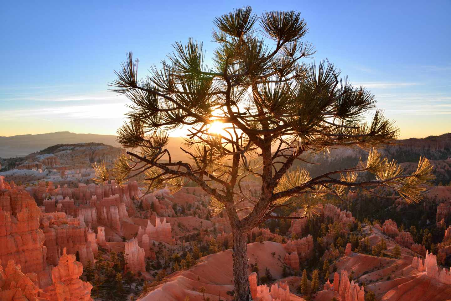 usa-utah-bryce-canyon-national-park-fairyland-loop-trail-bei-sonnenaufang-g-162958902.jpg