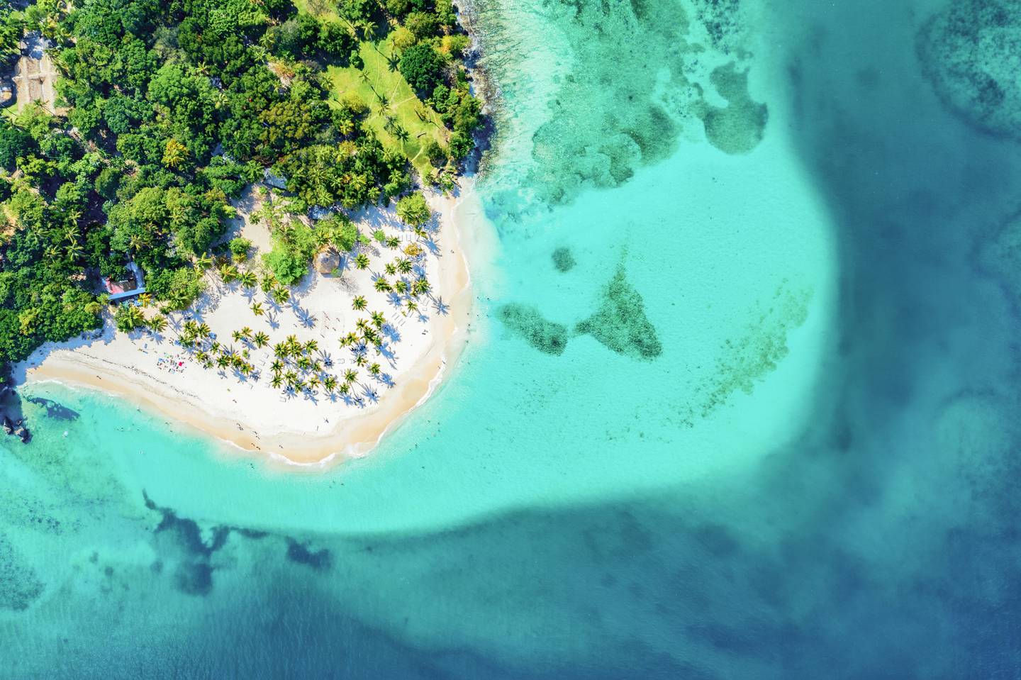 dominikanische-republik-bacardi-island-cayo-levantado-strand-mit-palmen-g-1225849465.jpg