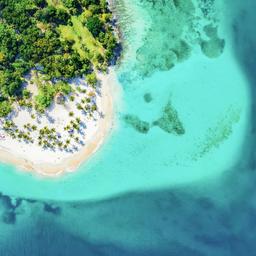 dominikanische-republik-bacardi-island-cayo-levantado-strand-mit-palmen-g-1225849465.jpg