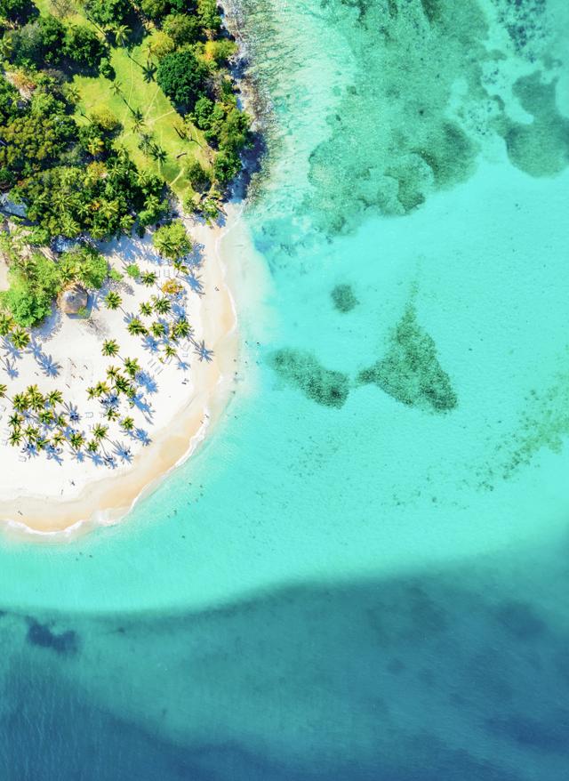 Karibik Urlaub dominikanische-republik-bacardi-island-cayo-levantado-strand-mit-palmen-g-1225849465.jpg