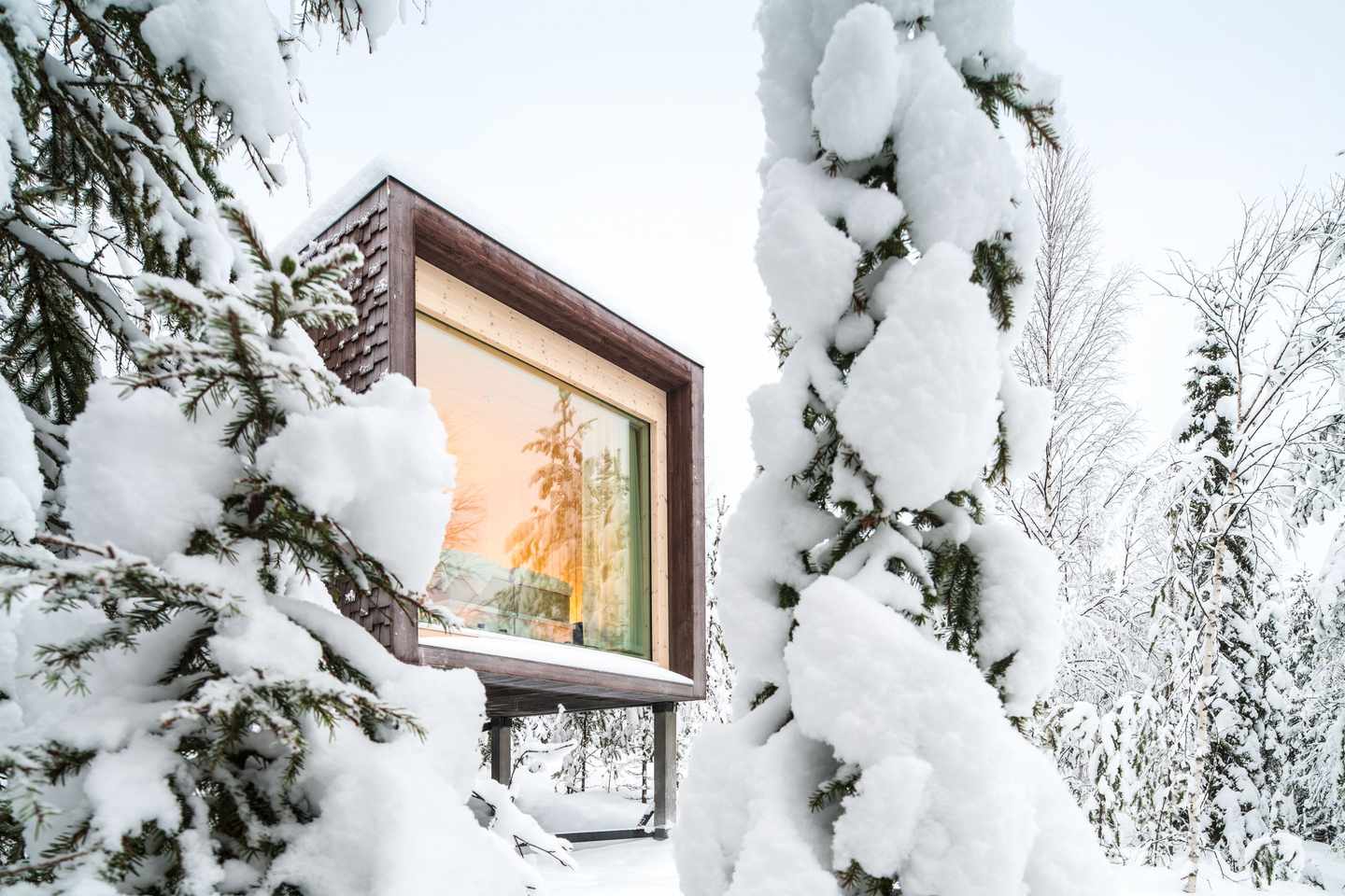 polarlichter-hotels-Arctic Treehouse Hotel-DER1118918.jpg