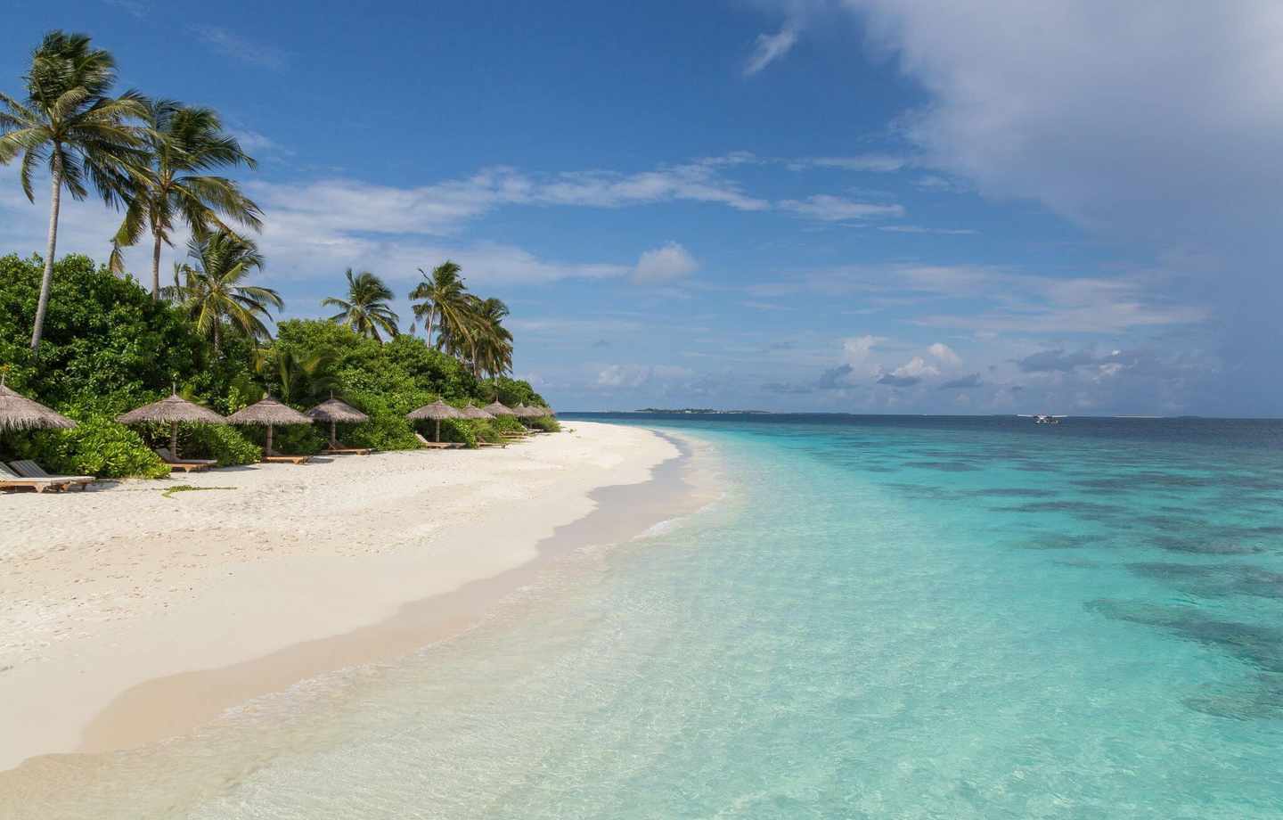 malediven-baa-atoll-strand-g-1078548856.jpg