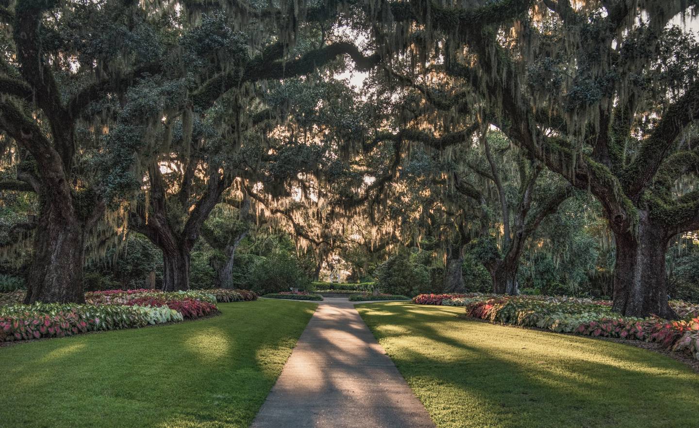 usa-south-carolina-myrtle-beach-brookgreen-gardens-g-1038417650.jpg