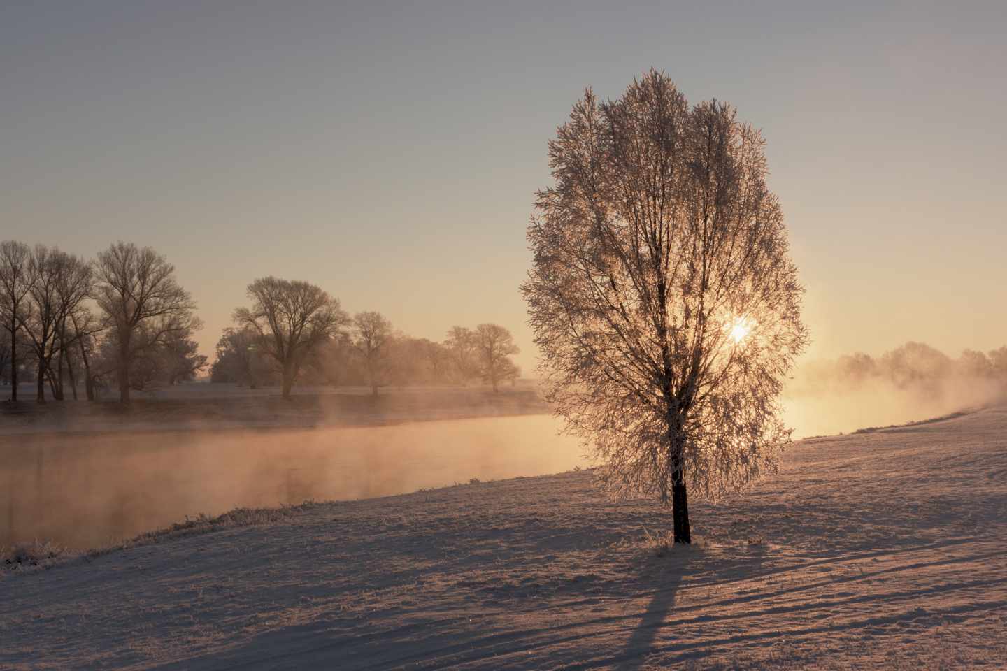 deutschland-sachsen-torgau-elbe-morgennebel-winter-g-599694594.jpg