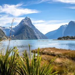 neuseeland-milford-sound-t-621144520.jpg
