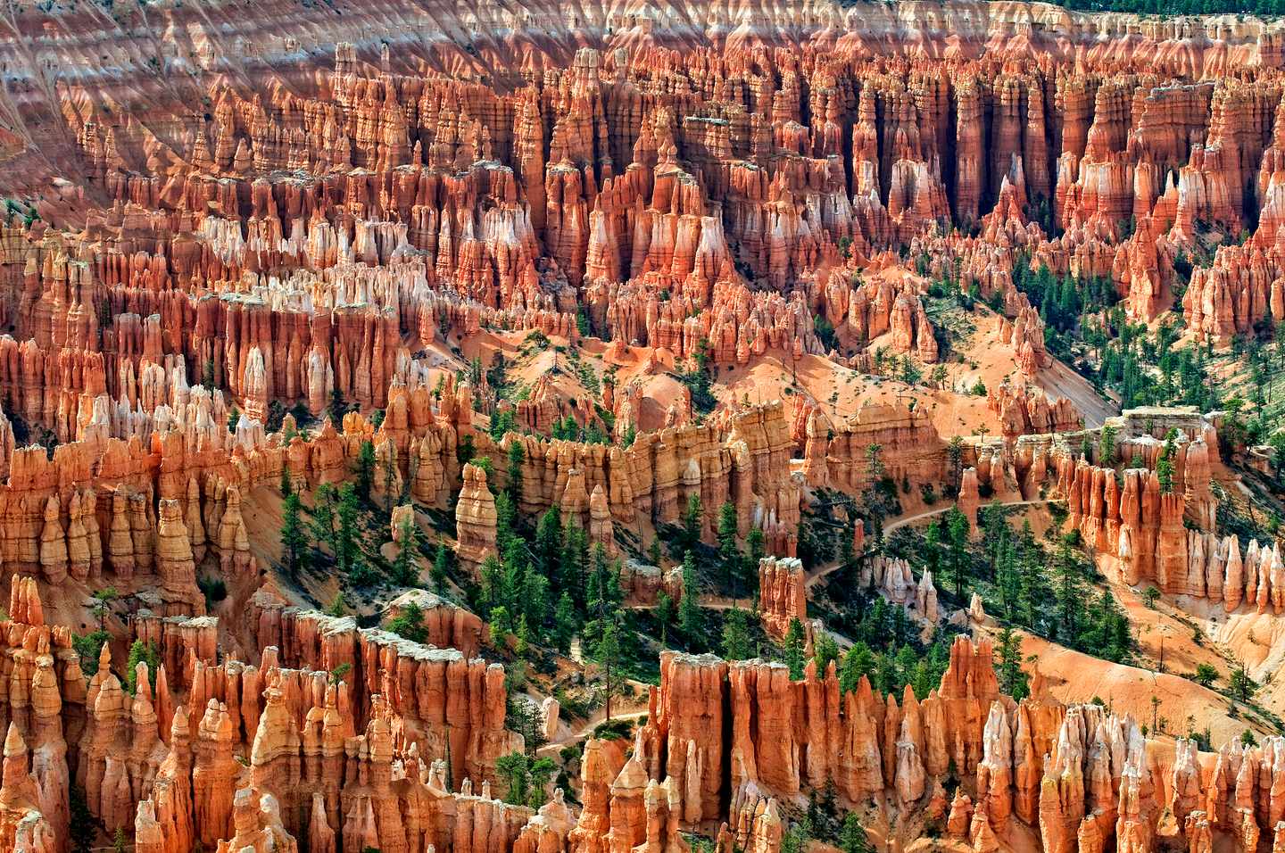 usa-utah-bryce-canyon-amphitheater-t-484807130.jpg