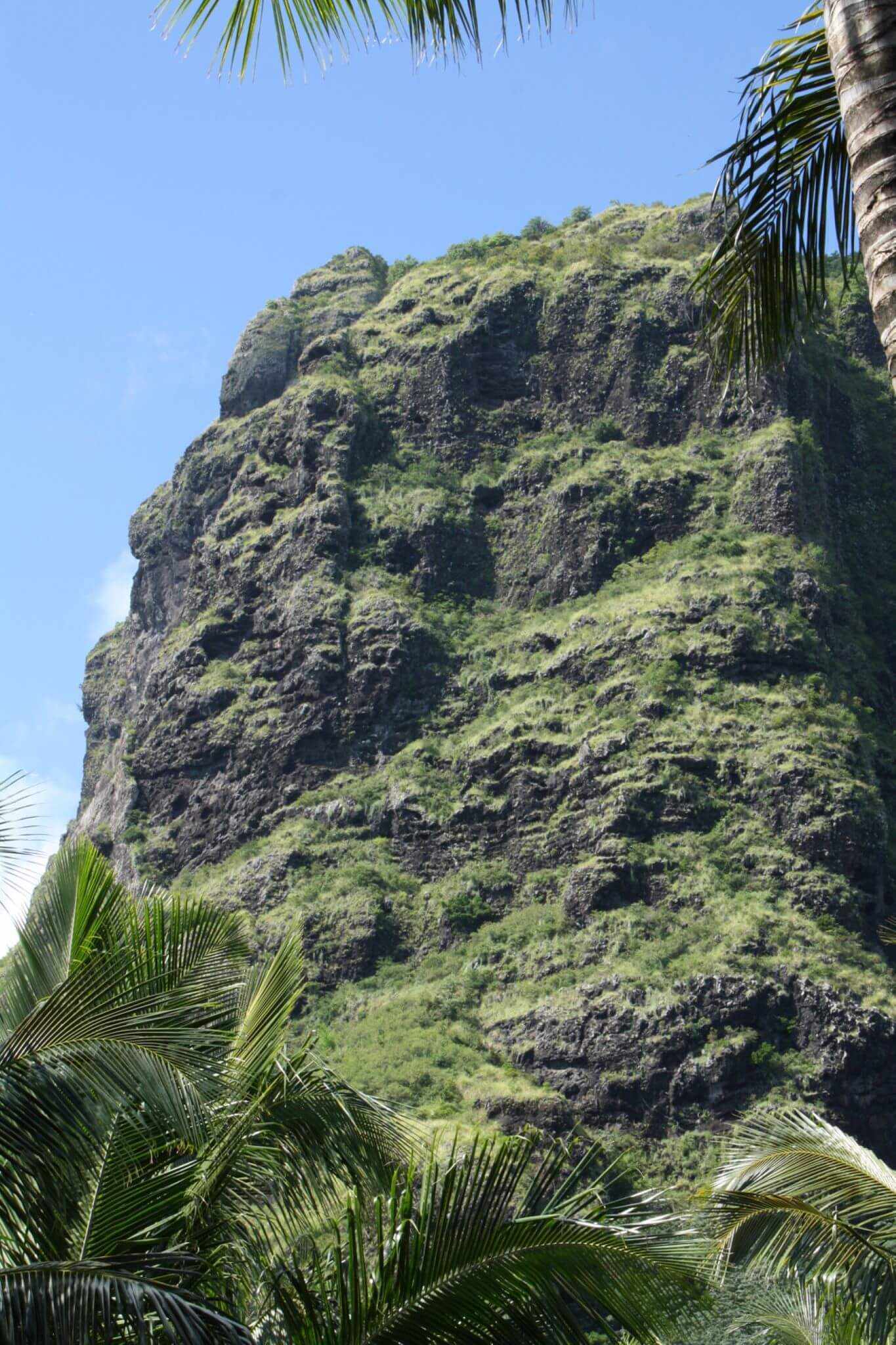 bltcd4ab8f8624ed79b-mauritius-berg-g-956000040.jpg Begrünter Berg Piton de la Petite Rivière Noire