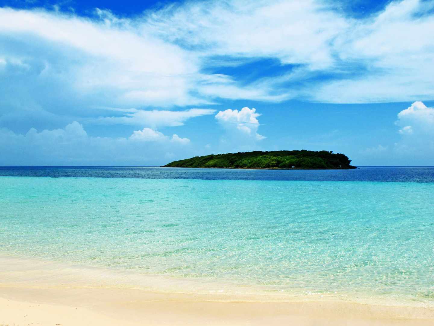 puerto-rico-blue-beach-auf-vieques-t-537231832.jpg