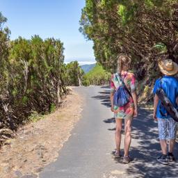 Familienhotels auf Madeira